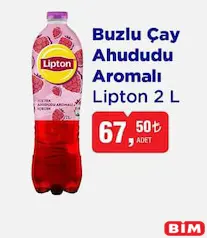 LİPTON BUZLU ÇAY AHUDUDU AROMALI 2 L fiyat ve kampanya bilgisi